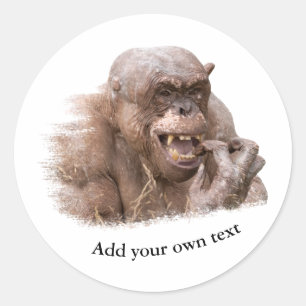 Sticker Rond Jambo le chimpanzé classique Sticke rond sans chev