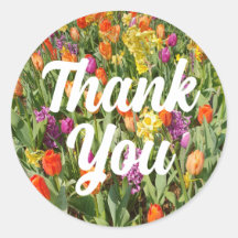 Jardin de fleurs de tulipes vibrantes Merci