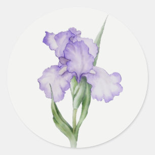 Sticker Rond Jardin de fleurs d'iris pourpre art floral