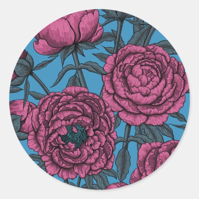 Sticker Rond Jardin de galets (Devant)