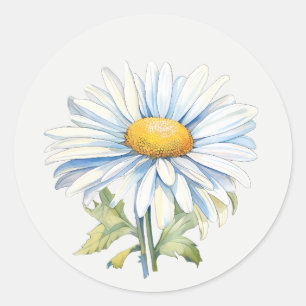 Sticker Rond Jardin de marguerite blanche art floral