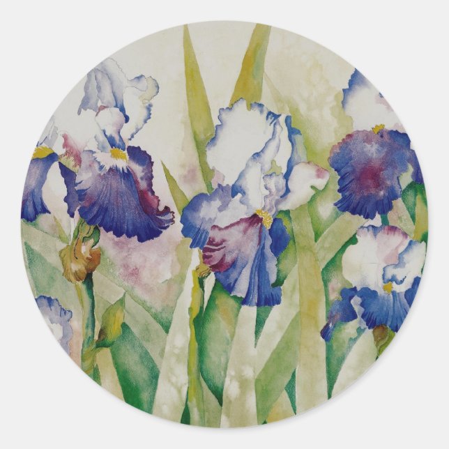 Sticker Rond jardin iris 2 (Devant)