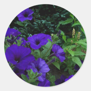 Sticker Rond Jardins d'été BC 3