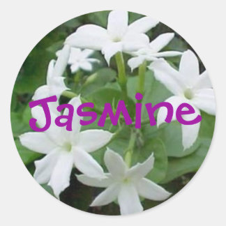 Sticker Rond Jasmine