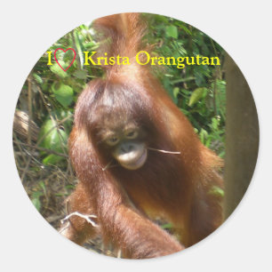 Sticker Rond J'Coeur Orangutans