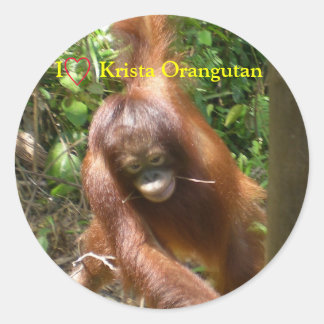 Sticker Rond J'Coeur Orangutans