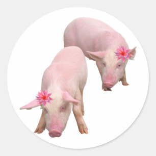 Sticker Rond Je suis magnifique