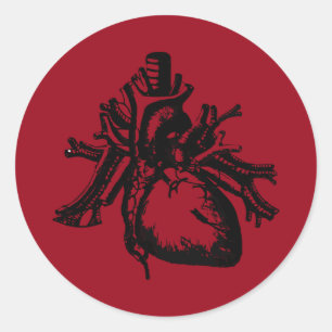 Sticker Rond Je t'ai vu mon coeur