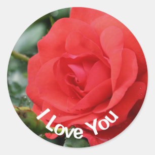 Sticker Rond Je T'Aime Fleur Rose Rouge 