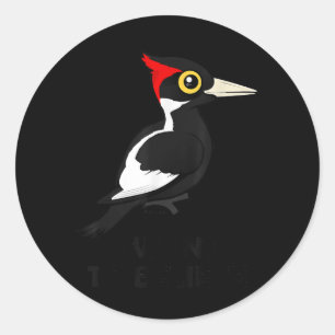 Sticker Rond Je Veux Croire Birdorab, Pic À L'Ivoire