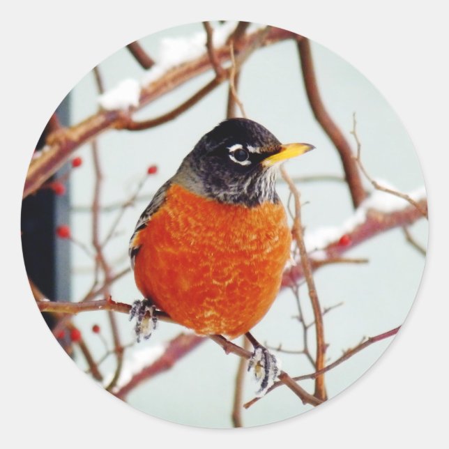 Sticker Rond Je vois le printemps (Devant)