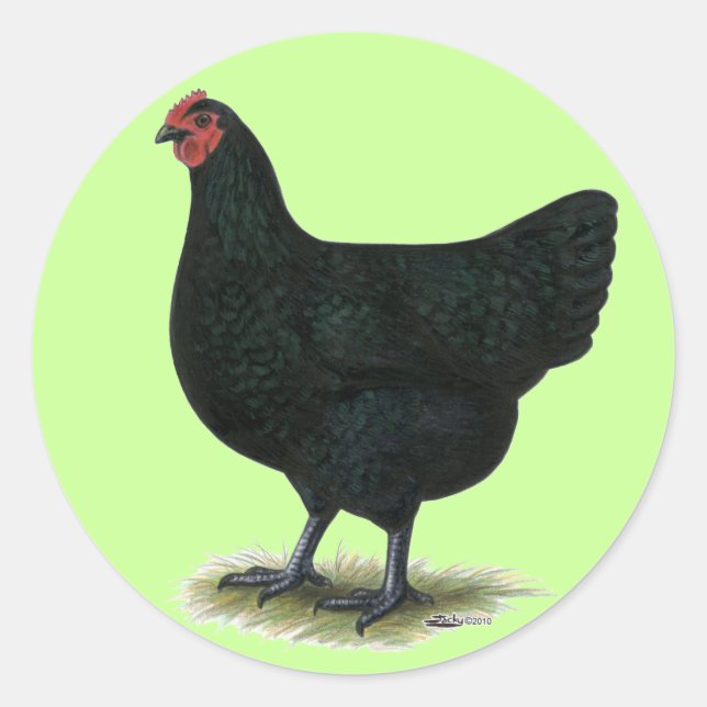 Sticker Rond Jersey Giant : Black Hen (Devant)