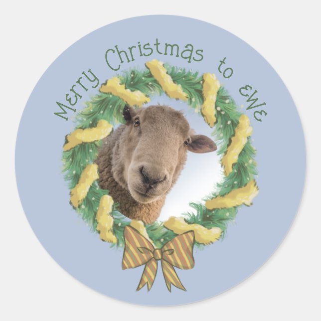 Sticker Rond Joie jolie photo de mouton de Noël (Devant)