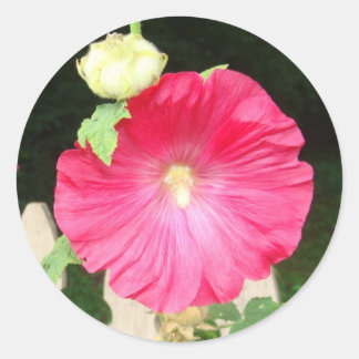 Sticker Rond Joints de rose trémière