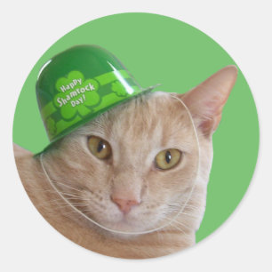 Sticker Rond Joli chat orange portant un chapeau irlandais vert