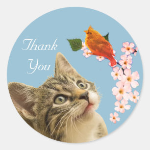 Sticker Rond Joli chat tabby, fleurs et petit oiseau Merci