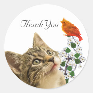 Sticker Rond Joli chat tigré, fleurs et petit oiseau Merci Cl