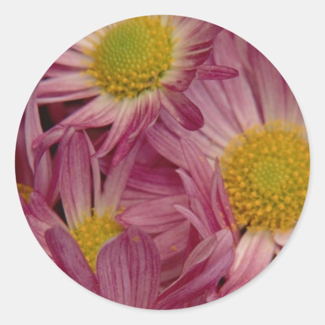 Sticker Rond Joli En Rose : Sceau D'Enveloppe (Devant)