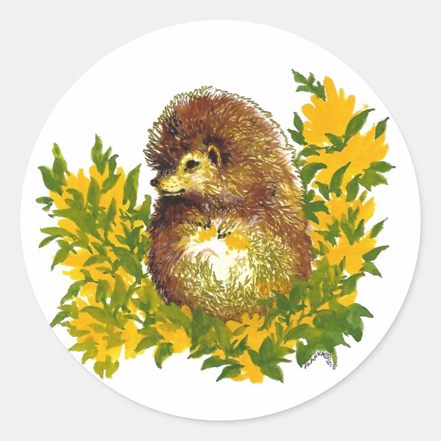 Sticker Rond Joli Hérisson Aquarelle Design (Devant)