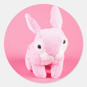Sticker Rond Joli Lapin Rose