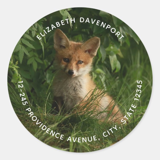 Sticker Rond Joli renard de bébé dans une forêt verte Adresse (Devant)