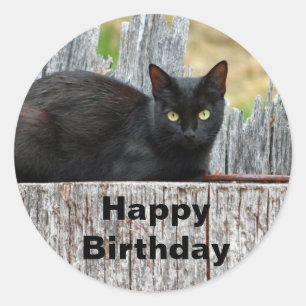 Sticker Rond Jolie Black Cat Log Photo Anniversaire
