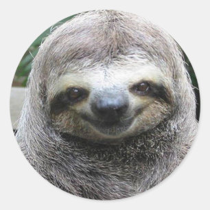 Sticker Rond Jolie face de fentes