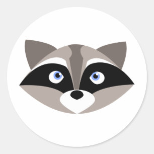Sticker Rond Jolie face Raccoon
