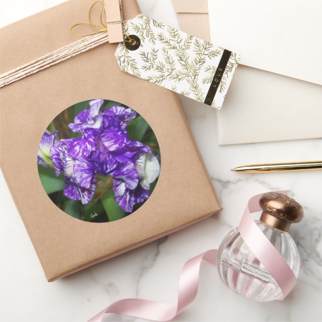 Sticker Rond Jolie fleur d'iris violette  (Cadeaux)