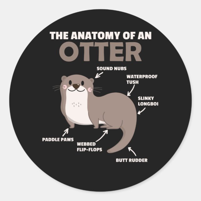 Sticker Rond Jolie Otter Explication Anatomie D'Une Otter (Devant)