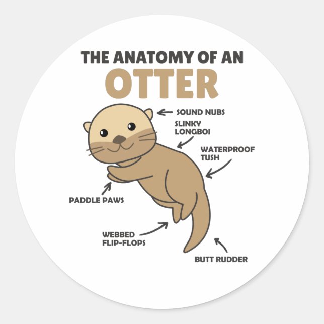 Sticker Rond Jolie Otter Explication Anatomie D'Une Otter (Devant)