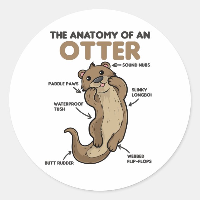 Sticker Rond Jolie Otter Explication Anatomie D'Une Otter (Devant)