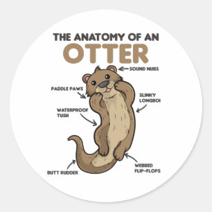 Sticker Rond Jolie Otter Explication Anatomie D'Une Otter