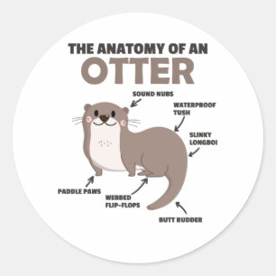 Sticker Rond Jolie Otter Explication Anatomie D'Une Otter