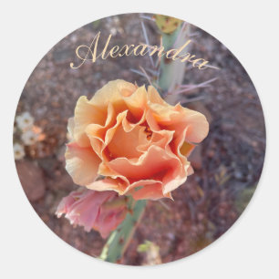 Sticker Rond Jolie Pêche Prickly Pear Flower