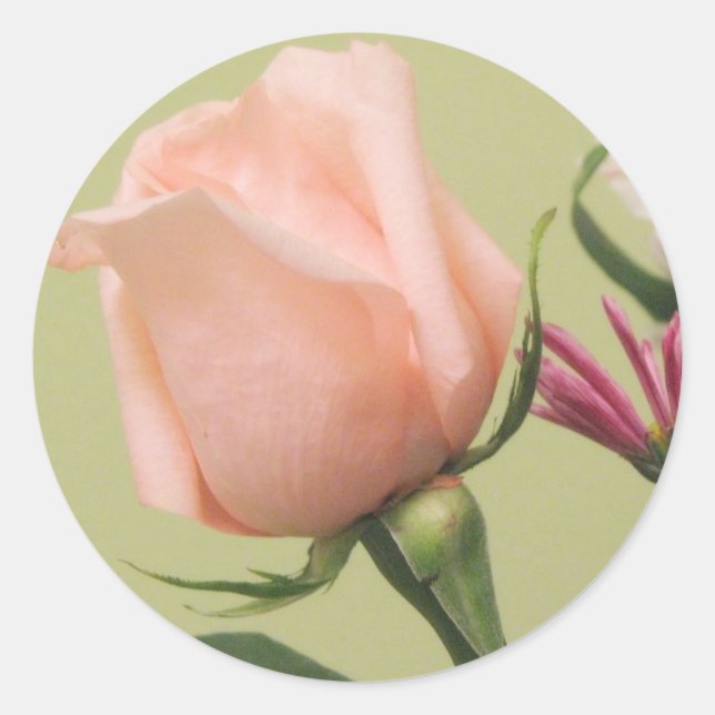 Sticker Rond Jolie rose rose (Devant)