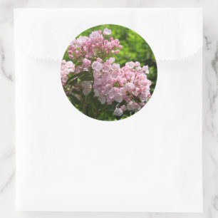 Sticker Rond Jolies fleurs de laurier rose