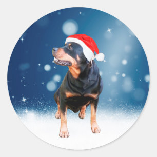 Sticker Rond Jote Rottweiler Chien Noël Santa Hat Étoiles de ne