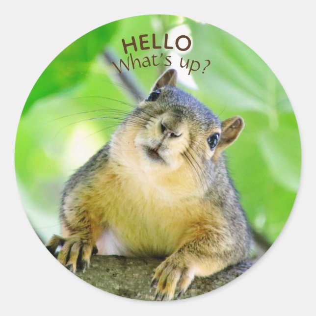 Sticker Rond Jote What's Up Envelope Seals (Devant)