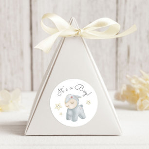 Sticker Rond Jouets Pastel Plush C'est un garçon