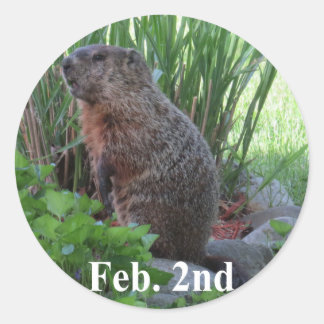 Sticker Rond Jour de la marmotte