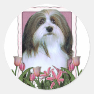 Sticker Rond Jour de mères - tulipes roses - Havanese