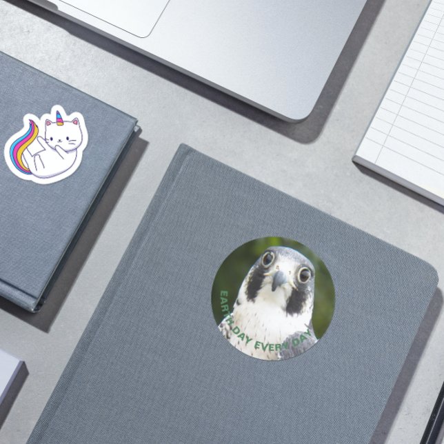 Sticker Rond Jour des terres tous les jours Peregrine Falcon Ph (In Situ Book)