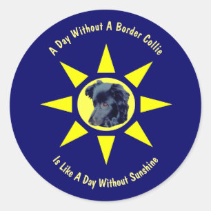 Sticker Rond Journée sans frontière Amoureux de les chiens de C