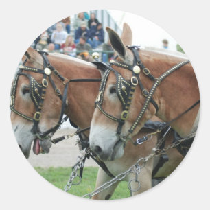 Sticker Rond jours de mule