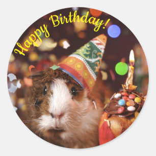 Sticker Rond Joyeux Anniversaire - Parti Animal Guinée Pig Papi