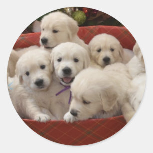 Sticker Rond Joyeux marionnettes Golden Retriever
