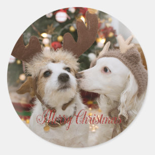 Sticker Rond Joyeux Noël, Chiens Amoureux