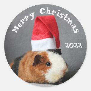 Sticker Rond Joyeux Noël Guinée porc dans un chapeau de Père No