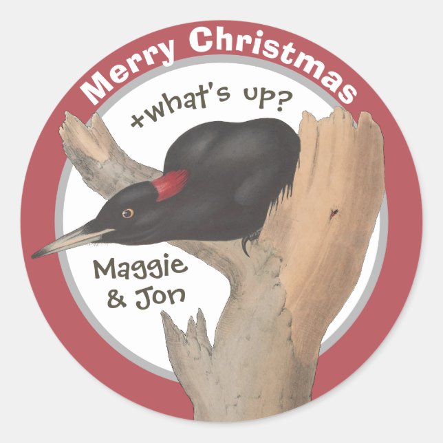 Sticker Rond Joyeux Noël +que se passe-t-il ? John Gould (Devant)